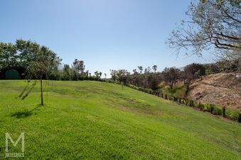 Enlarge photo 61