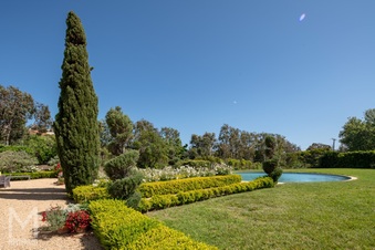Enlarge photo 78