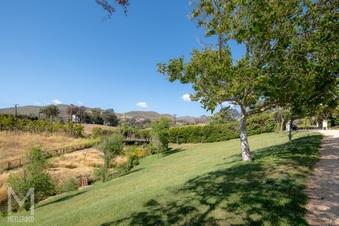 Enlarge photo 93