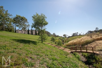 Enlarge photo 94