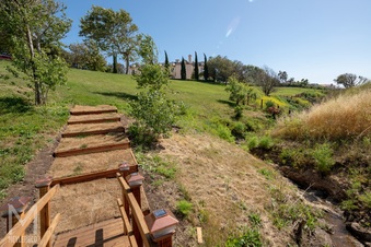 Enlarge photo 95
