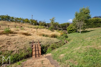 Enlarge photo 96