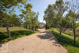 Enlarge photo 97