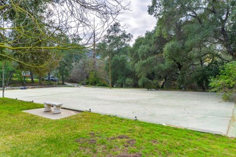 Enlarge photo 113