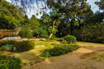 Enlarge photo 133