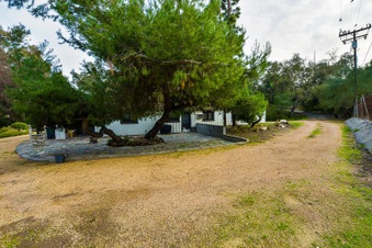 Enlarge photo 136