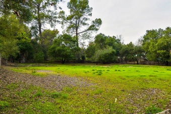Enlarge photo 142