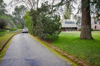 Enlarge photo 148