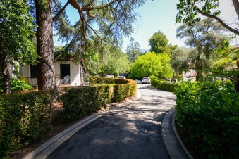 Enlarge photo 61