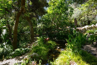 Enlarge photo 88