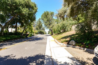 Enlarge photo 92