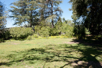 Enlarge photo 25