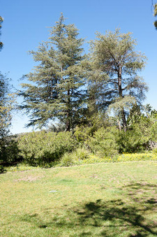 Enlarge photo 26