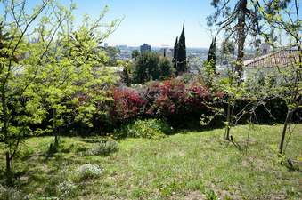 Enlarge photo 61