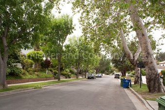 Enlarge photo 75