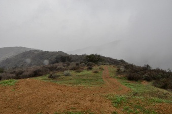 Puerco Canyon MRCA 1