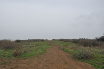 Puerco Canyon MRCA 2