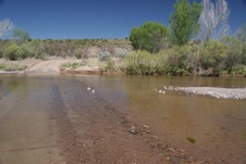 2010 05 21 Sunflower Mesa