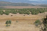 Enlarge photo 40