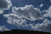 Enlarge photo 80