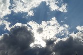 Enlarge photo 86