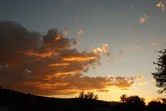 Enlarge photo 137