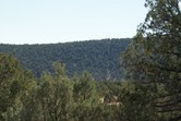 Enlarge photo 93