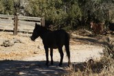 Enlarge photo 128