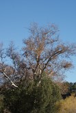 Enlarge photo 145