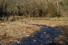 Enlarge photo 52