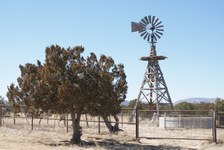 Enlarge photo 31
