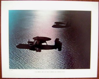 Enlarge photo 60