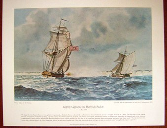 Enlarge photo 78