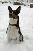 Enlarge photo 11