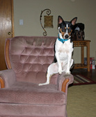 Enlarge photo 8