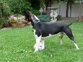 Enlarge photo 12