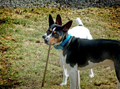 Enlarge photo 6