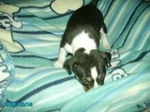 Enlarge photo 15