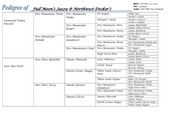Enlarge PDF 24