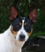 Full Moon's Jazzy
