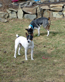 Enlarge photo 9