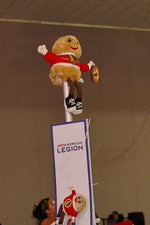 Enlarge photo 278