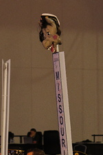 Enlarge photo 281