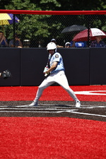 Enlarge photo 273