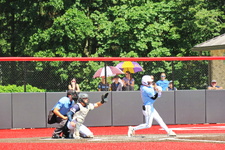 Enlarge photo 283