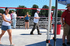 Enlarge photo 338