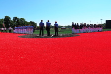 Enlarge photo 43