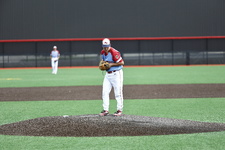Enlarge photo 315