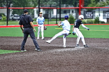 Enlarge photo 244