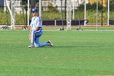 Enlarge photo 228